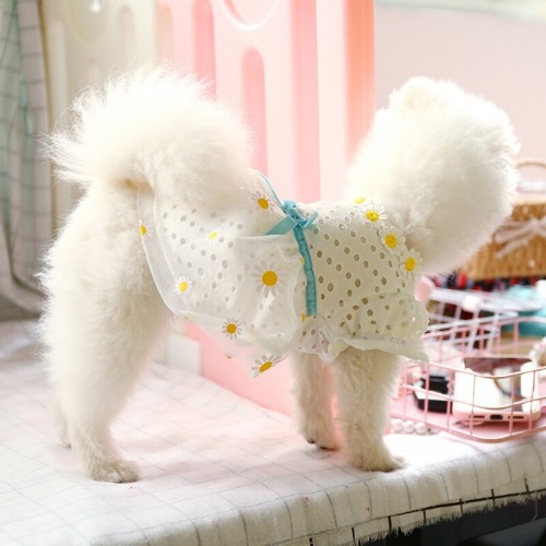 Платье для собак PetCircle "Нежность ромашек" белый