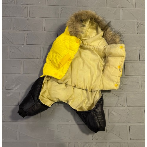 Брендовий зимовий комбінезон для собак MONCLER, жовтий