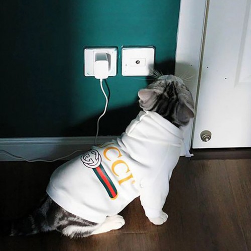 Брендовая толстовка для собак и котов с капюшоном, белого цвета